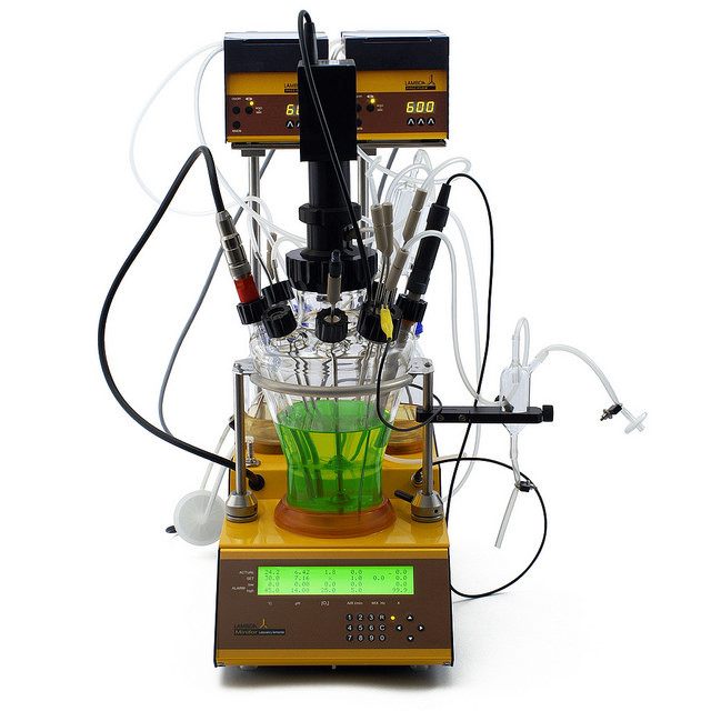 Le bioréacteur LAMBDA MINIFOR avec des sondes inclinées. Le bioréacteur LAMBDA MINIFOR avec des sondes inclinées.