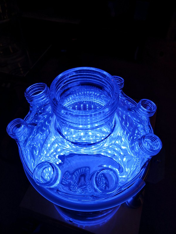 Blaue LED am Photobioreaktor-Reaktorgefäss