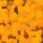 Hefe Illustration