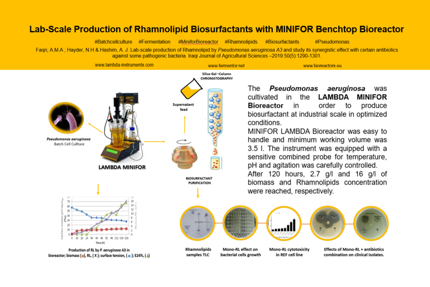 Pseudomonas aeruginosa produziert Rhamnolipid Biotensiden im LAMBDA MINIFOR Laborfermenter