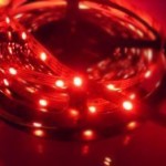 rotes Licht Algen