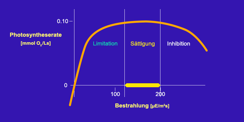 Bestrahlungsabhängige Photosyntheserate [mmol O2/Ls] im Photobioreaktor