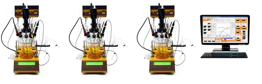 Bioréacteurs universitaire dans les expérimentations en parallèle  Bioréacteurs universitaire dans les expérimentations en parallèle