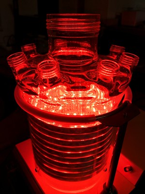rote LED am Photobioreaktor-Reaktorgefäss